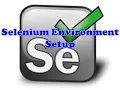 Selenium Class 19 Selenium Test Environment Setup