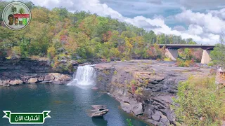 أجمل صوت موريتاني يحرك القلوب بتلاوة القرآن الكريم 