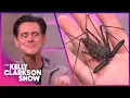 Lagu Jim Carrey Pretends He's Ace Ventura While Meeting Wild Animals With Coyote Peterson