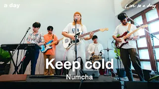 Download Numcha - Keep cold | Live in a day MP3