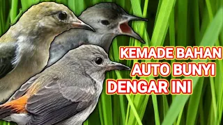 panggilan untuk burung kemade bahan ombyokan