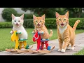 Download Lagu Mama Cat Creates a Handmade Wooden Rocking Horse Toy for Kitten 🐱🪵❤️ MP3