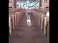 Mary-Alex g (CLEAN!)