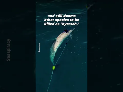 The Disturbing Reality of Farmed Salmon 💔🐟