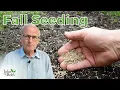 Fall Lawn Care How To Grow Grass From Seed Overseed In Fall