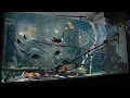 Download Lagu Geschafft! Mein 21.000L XXL DIY Beton-Aquarium Ist Fertig!