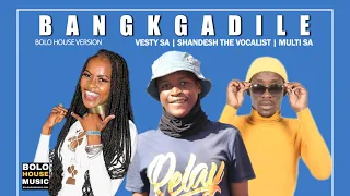 vesty sa x shandesh the vocalist x multi sa bankgadile official audio