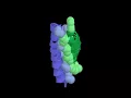 Coiled coil alpha Helix
