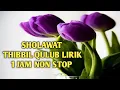 Download Lagu Sholawat Tibbil Qulub Lirik 1 Jam Non Stop
