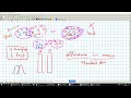 Lecture 9 - Biomedical Signal Processing Course Recordings