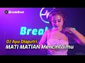 Download Lagu DJ AYU DIAPUTRI Breakbeat Remix