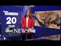 By the numbers Ivory trade led to rapid evolution of tuskless elephants