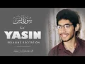 Download Lagu Surah Yasin | سورة يس | Muhammad Abdullah | Year 2024 - 1446H | #ibnesaed