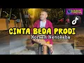 Download Lagu Cinta Beda Prodi || Norsen Nenokeba (Cover)