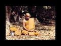 Lagu Chẳng Có Ai Cả - Ajahn Chah