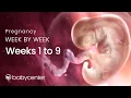 Pregnancy week by week Weeks 1 - 9