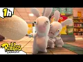 Download Lagu Fear in the supermarket 🫨 | RABBIDS INVASION 🐰 | 1H Compilation | Cartoon for kids
