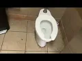 King Eggroll Xpress Men s Restroom Full Shoot