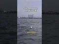 Download Lagu Dzikir Penyembuh  Penyakit [UAH] #videoshort #mancing #fishing #nasehatislami #doa #dzikir #uah