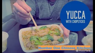 Number 1 Chinese Kitchen Suffern NY Chinese Food Review