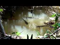 Download Lagu Tak bisa berkata-kata jumpa spot mancing mantap begini #SG-421