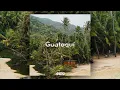 Axero - Guataquí