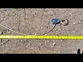 Harbor Freight 4000lb come along