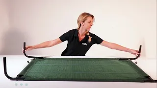 Best Selling Elevated Pet Bed on Amazon - Assembly Instructions