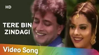 tere bin zindagi hd heeralal pannalal 1999 mithun chakraborty bollywood romantic song