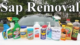 The BEST Tree Sap Removal Product for your Car is