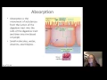 Lecture21 Digestion