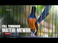 Download Lagu MASTERAN MURAI BATU FULL ISIAN TEMBAKAN MEWAH SANGAT AMPUH MELATIH MURAI BATU BONKAR ISIAN