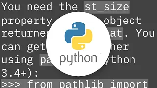 How do I check file size in Python