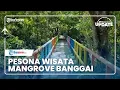 Download Lagu Jadi Tempat Wisata Andalan, Hutan Mangrove Matanaluok di Sulawesi Tengah Tawarkan Keindahan