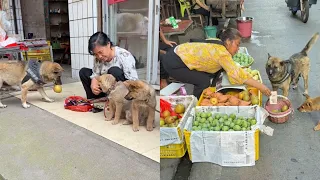 Clever dog took an extra piece of fruit when the vendor wasn't looking😂