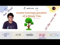 Lowest Common Ancestor of a Binary Tree Leetcode 236 Live coding session