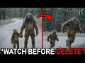 Lagu REAL Bigfoot Videos Footage That Are 100% NOT AI