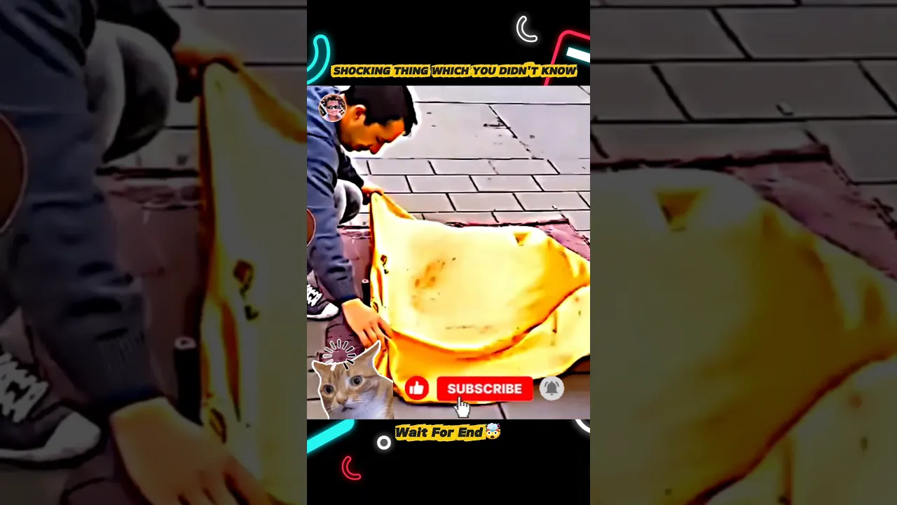#hoyoverse