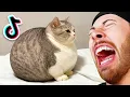 Funniest Animals On TikTok!