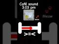 Café sound 3:03 pm asmr 🥯♥️🌺