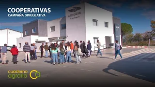 Cooperativas Agro-Alimentarias de Andalucía difunde valores de economía social en ESO y Bachillerato