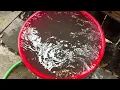 Cowboy s Crawfish Washer You need this