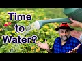 How Often Should I Water My Garden When to Water Plants