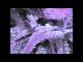 Harold Budd   Valse Pour Le Fin Du Temps (1986)