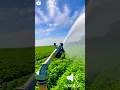 Download Lagu Rain Gun #raingun  #IRRIGATION PARK  #farm ♦️ MR PPN