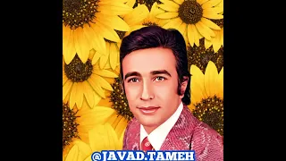 جمال وفایی خوشگله 