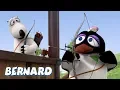 Download Lagu Bernard Bear | Archery AND MORE | Cartoons for Children