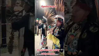                     دندنها