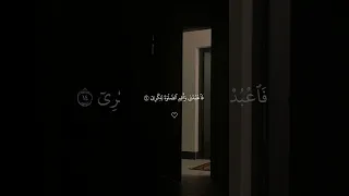 وانا اخترتك فاستمع لما يوحي بصوت اسلام صبحي قرآن المنشاوي ياسر الدوسري عبدالرحمن مسعد لايك 