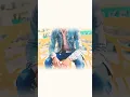 Download Lagu https://www.instagram.com/reels/audio #trendingshorts #viralvideo #likesharesubscribe